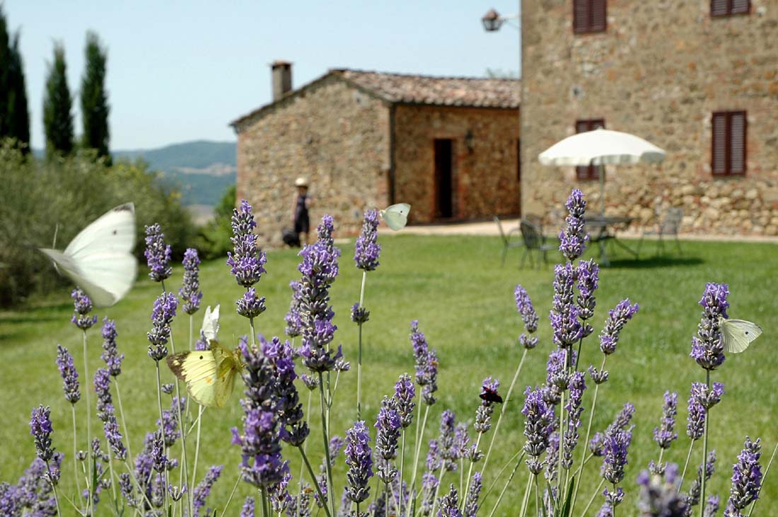 Hotellbilder av Fattoria Casabianca - nummer 1 av 15