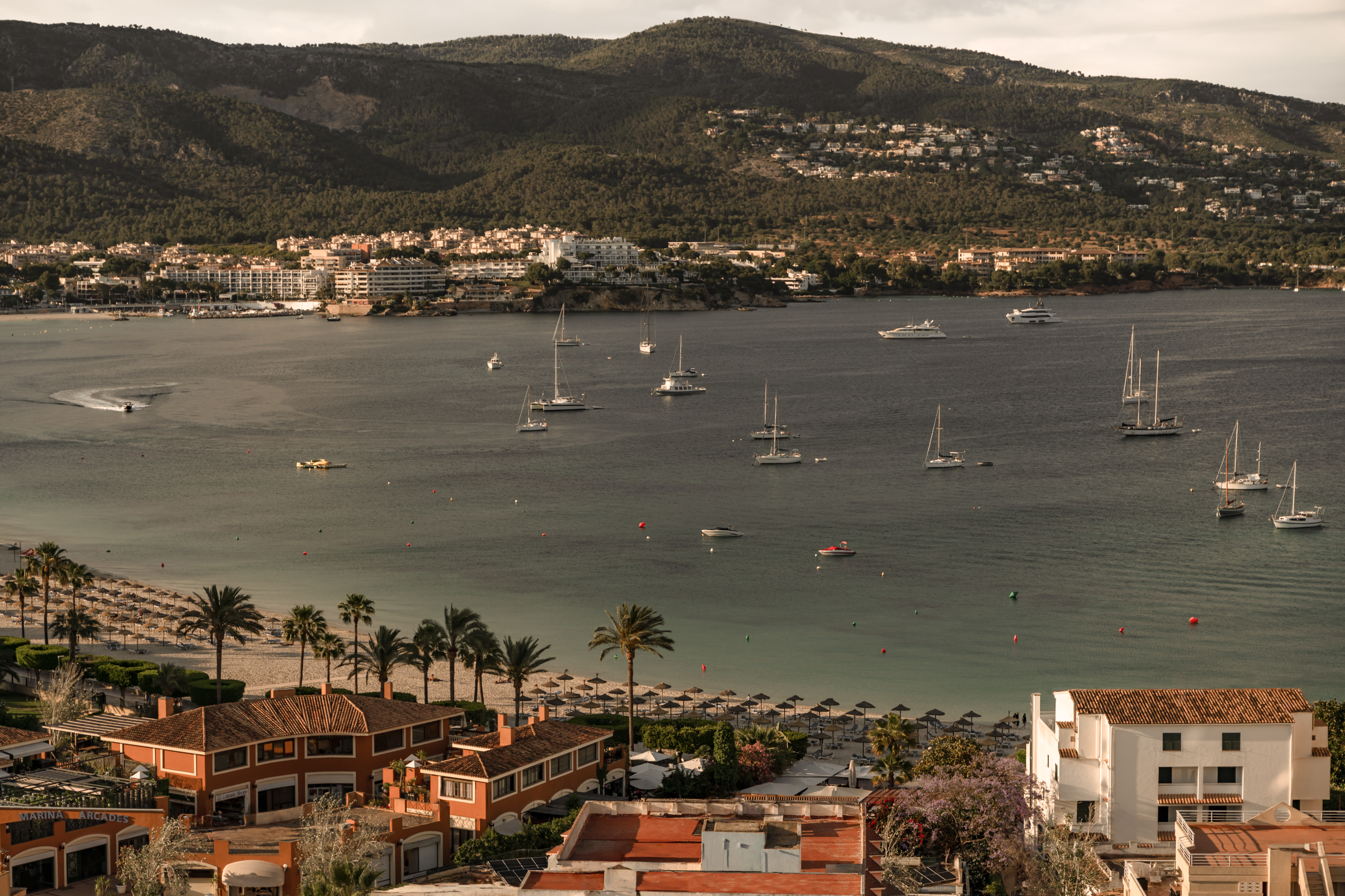 Hotellbilder av Cook's Club Calvia Beach Adults Only +21 - nummer 1 av 6
