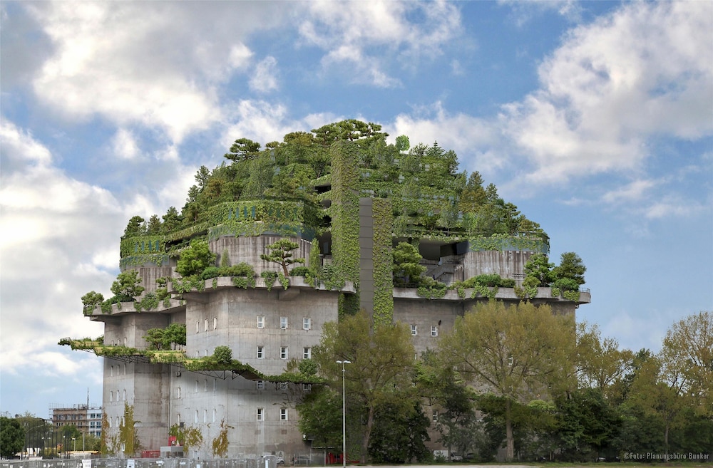 Image of the accomodation
