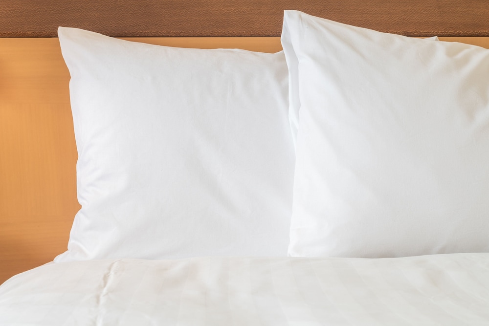 Afbeelding van de accommodatie