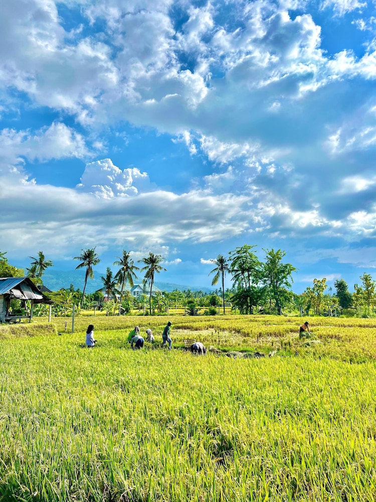 Billede av hotellet Rumi Bumi Lovina - nummer 1 af 10