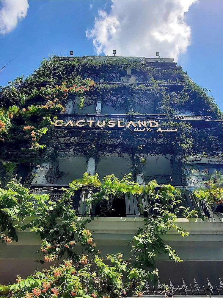 Bilder från hotellet Cactusland Hotel & Apartment - nummer 1 av 10