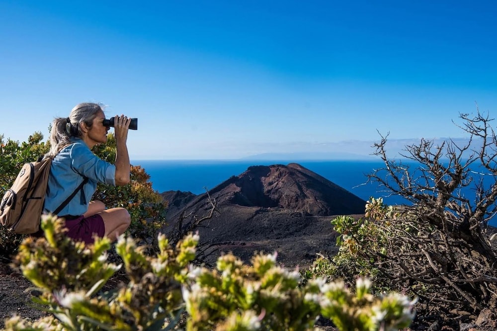 Bilder från hotellet Tropical Island Retreat in Santa Cruz - nummer 1 av 6