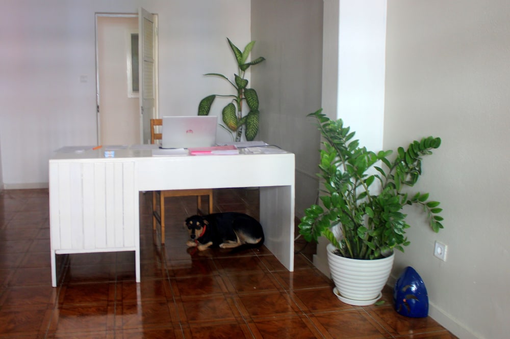 Bilder från hotellet Residence A Paz B&b - nummer 1 av 10