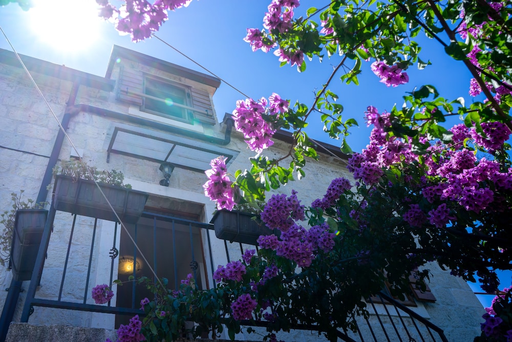 Billede av hotellet Villa Marino - nummer 1 af 6