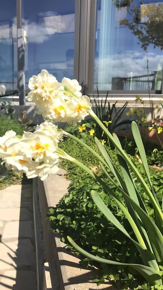 Billede av hotellet Marmaras - nummer 1 af 6