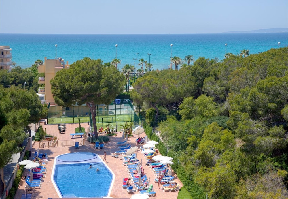 Billede av hotellet Hotel Timor - nummer 1 af 6