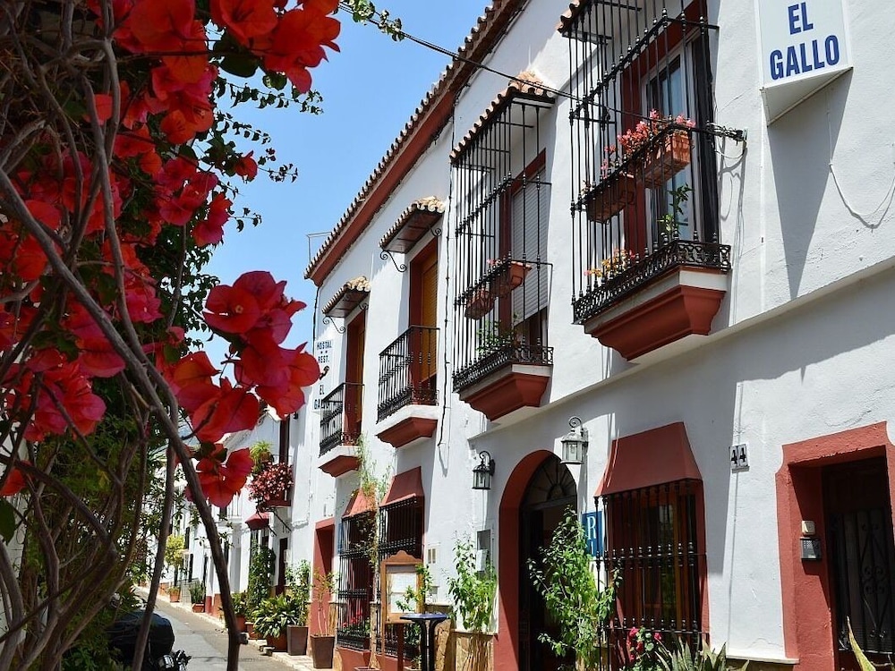 Billede av hotellet Hostal El Gallo - nummer 1 af 6