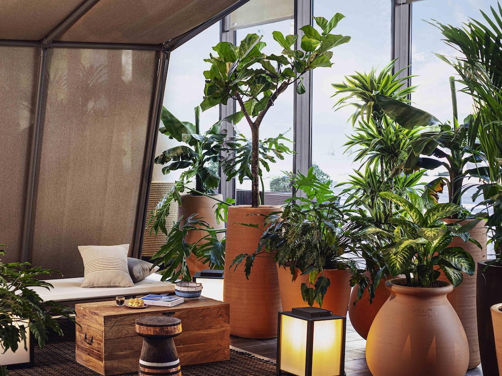 Immagine della sistemazione