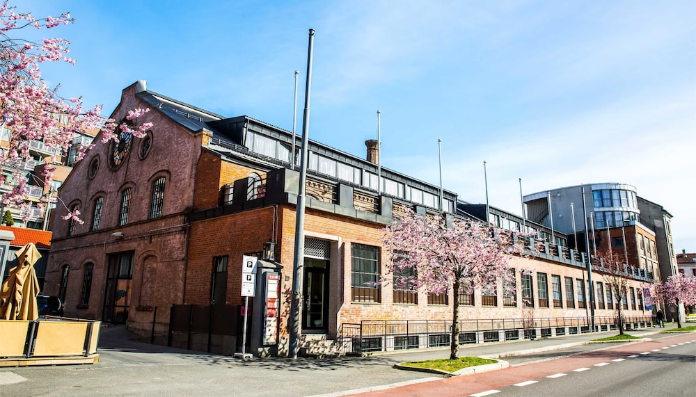 Image of the accomodation