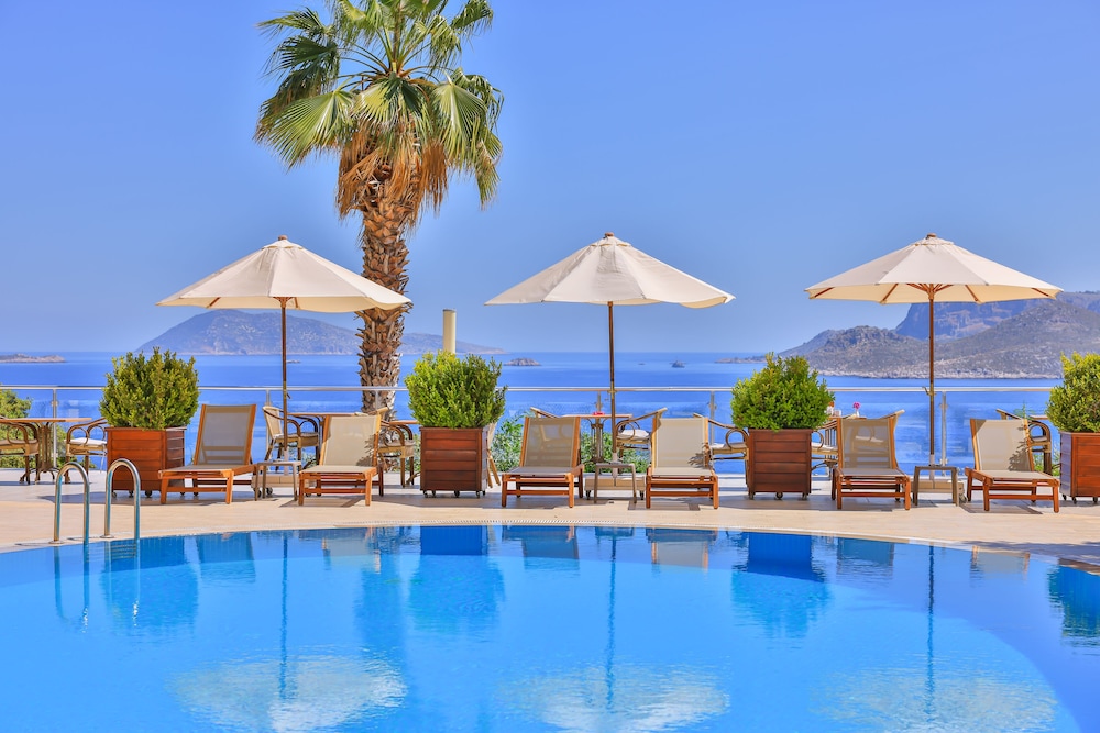 Bilder från hotellet Olea Nova Hotel - nummer 1 av 10