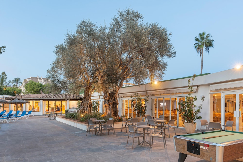 Billede av hotellet Alcudia Beach Apartments - nummer 1 af 6