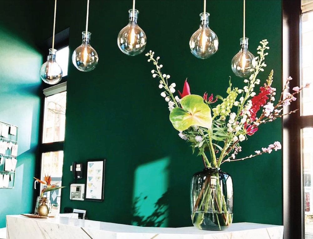 Imagen del alojamiento