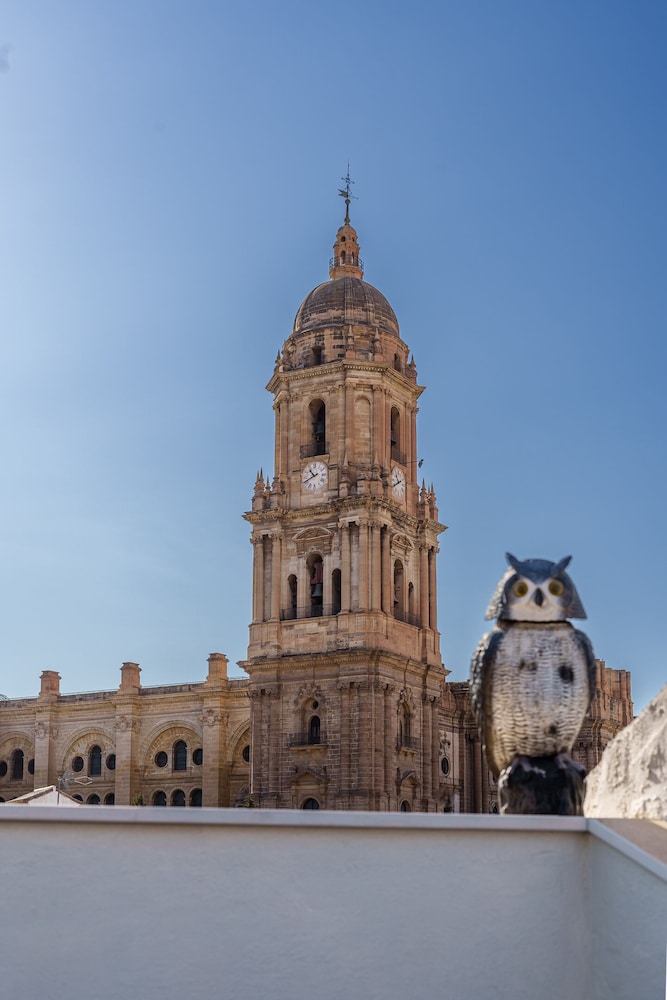 Billede av hotellet Apartamentos Gibralfaro - nummer 1 af 6