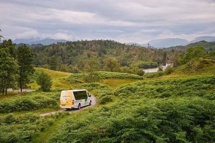 Image of the accomodation