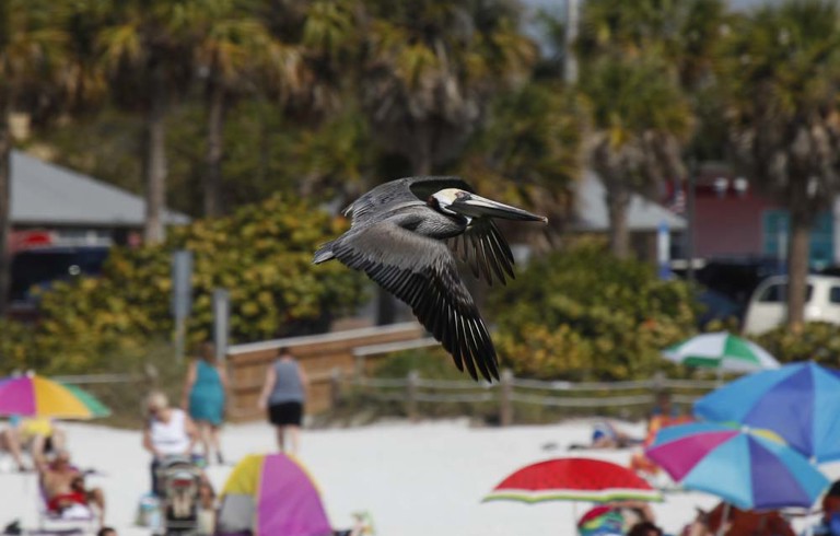 Floridas V 228 Stkust Hotell Och Boende F 246 R Din Bilsemester